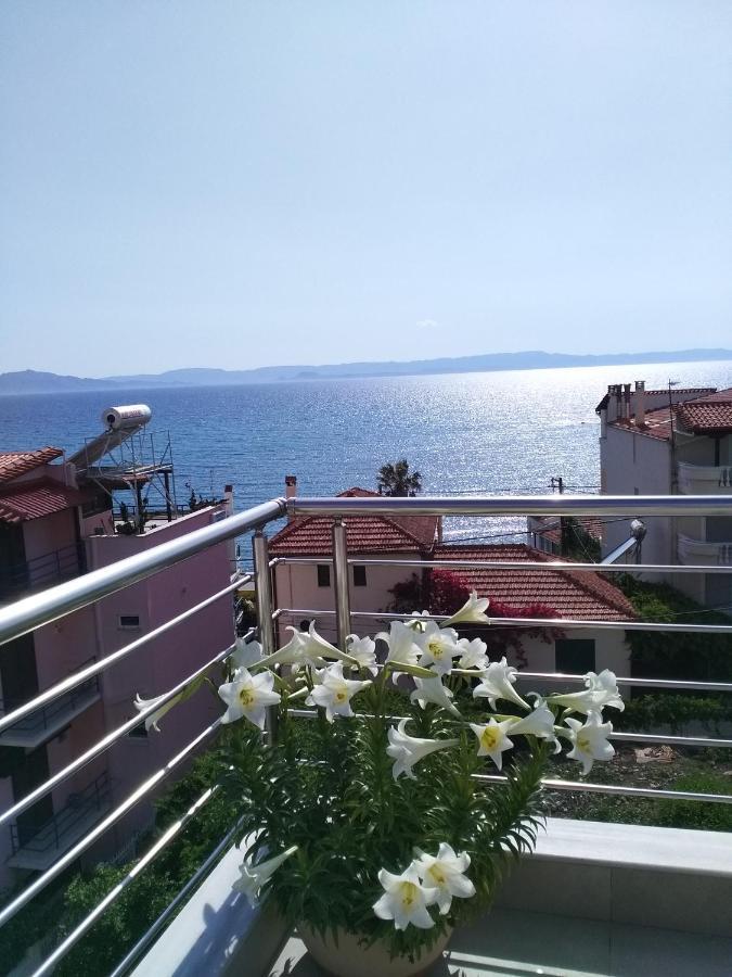 ארקודי Alkioni'S Nest Apartments מראה חיצוני תמונה